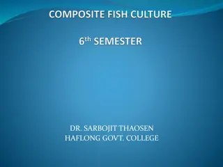 Understanding Composite Fish Culture for Increased Productivity
