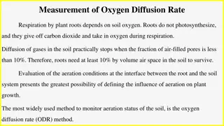 Understanding Oxygen Diffusion Rate Measurement in Plant Roots