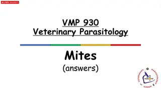 Understanding Veterinary Parasitology: Mites, Poultry Mite Characteristics, and Minor Mites Quiz