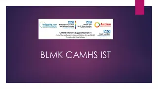 BLMK.CAMHS.IST Team Overview