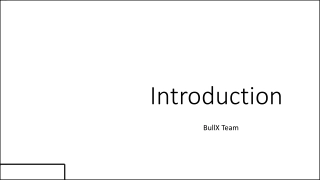BullX Team - Introduction