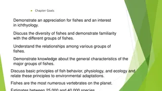 Understanding the Fascinating World of Fishes: A Comprehensive Overview