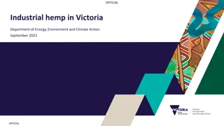 Industrial Hemp Regulations and Authorities in Victoria