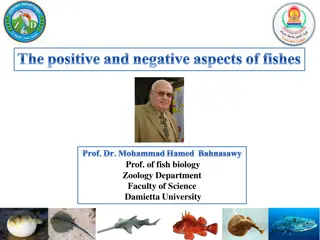 Understanding the Positive and Negative Aspects of Fishes