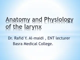 Anatomy and Physiology of the Larynx: Overview and Cartilages