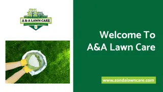 Lawn Care And Pest Control In New Braunfels TX - A&A