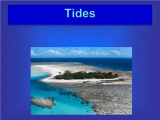 Understanding Tides: Causes, Types, and Phenomena