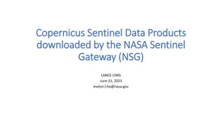 Understanding Latency in Sentinel-1A Standard Products