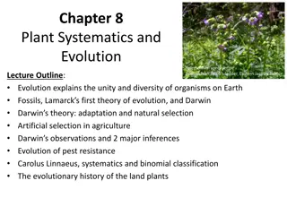 Evolution and Plant Systematics Lecture Overview