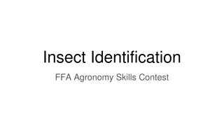 Insect Identification for FFA Agronomy Skills Contest