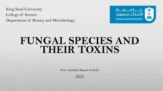 FUNGAL SPECIES AND THEIR TOXINS.