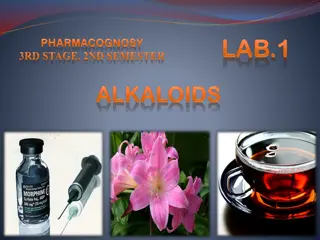 Understanding Alkaloids: Sources, Names, and Classification