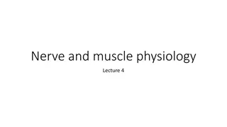 Nerve and muscle physiology