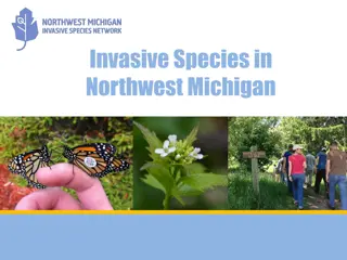 Understanding Invasive Species in Northwest Michigan