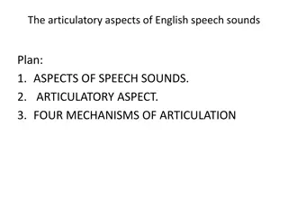 Understanding Articulatory Aspects of English Speech Sounds