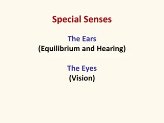 Exploring Special Senses: Ears, Eyes, and Sound Waves