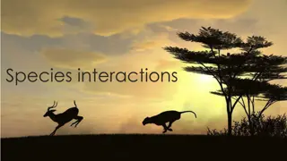 Understanding Species Interactions and Predator-Prey Dynamics