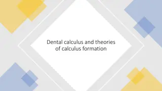 Understanding Dental Calculus Formation and Classification