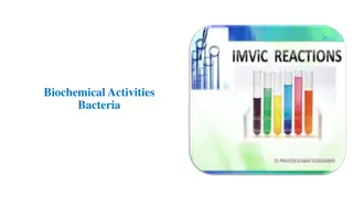 Bacterial Biochemical Identification Tests in Microbiology