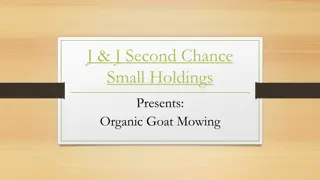 The Benefits of Organic Goat Mowing for Your Lawn