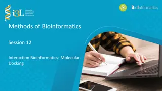 Understanding Molecular Docking in Bioinformatics