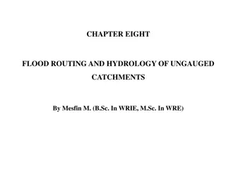 Flood Routing and Hydrology of Ungauged Catchments