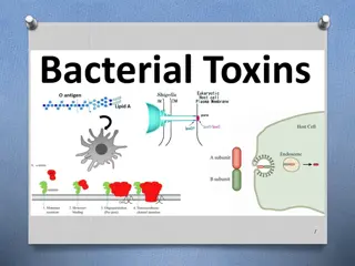 Understanding Bacterial Toxins and Cell Damage