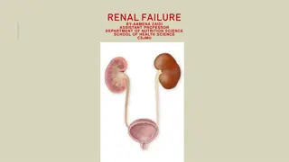 Understanding Kidney Failure: Causes, Symptoms, and Treatment Options