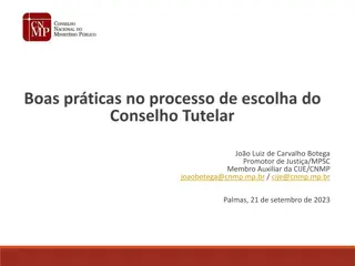 Best Practices in Choosing the Tutelary Council: Insights from João Luiz de Carvalho Botega