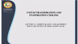 Solar Energy Balance in Crop Canopy: Understanding Input and Output