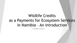 Exploring Wildlife Credits: Payments for Ecosystem Services in Namibia