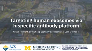 Targeting human exosomes via bispecific antibody platform