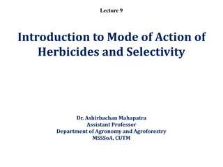 Introduction to Mode of Action of Herbicides and Selectivity