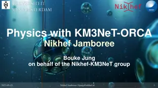Understanding Neutrinos: Insights from Nikhef Jamboree