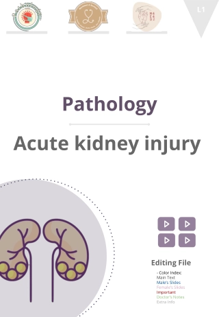 Pathology Acute kidney injury