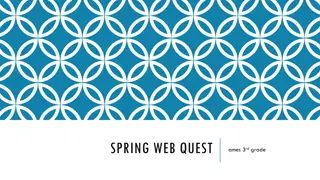 Spring Web Quest for 3rd Graders
