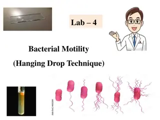 Bacterial Motility Testing Using Hanging Drop Technique