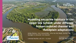 Modelling Estuarine Habitats in the Upper Sea Scheldt: Human-Induced Adaptations