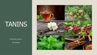 Understanding Tannins: Properties, Classification, and Medicinal Uses