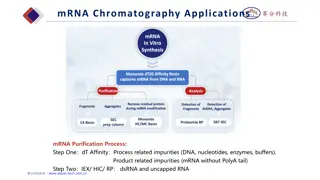 mRNA Chromatography Applications: Resin Types and Purification Efficiency