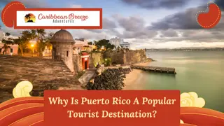 Why Is Puerto Rico A Popular Tourist Destination