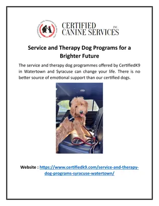Service and Therapy Dog Programs for a Brighter Future