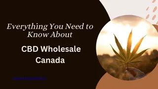 Everything You Need to Know About CBD Wholesale Canada
