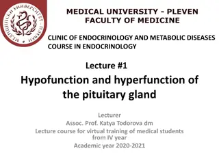 Understanding Pituitary Gland Functions in Endocrinology Course