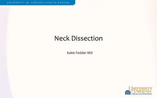 Overview of Neck Dissection in Head and Neck Cancer