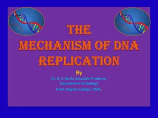 Understanding the Mechanism of DNA Replication