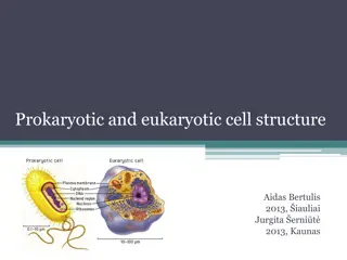 Understanding Prokaryotic and Eukaryotic Cell Structure