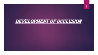 Understanding the Development of Occlusion and Dentition