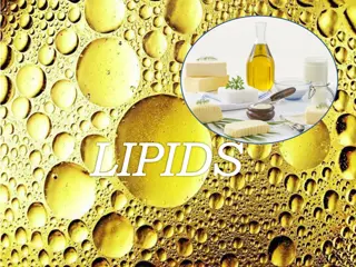 Understanding Lipids: Properties, Functions, and Types