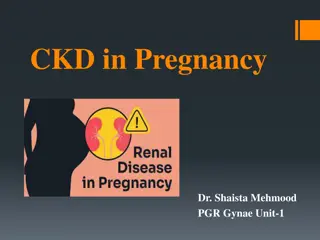 Managing Chronic Kidney Disease in Pregnancy: A Case Study